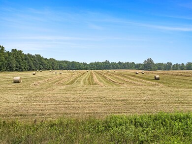 001_dji_0667