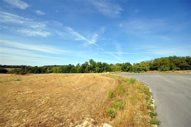 1611 Regency Ln, Union Chapel Township, MO 65714 - photo 5