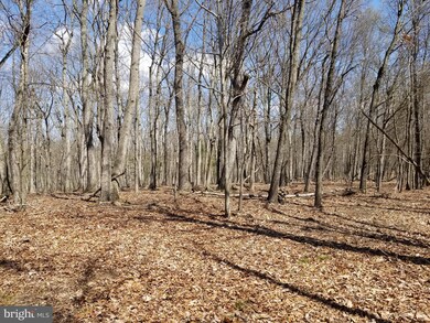 3853 Timber Ridge Rd, Berkeley Springs, WV 25411 - photo 6