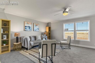Living room with carpet flooring, ceiling fan, and