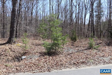 10 Hope Ln, Orange, VA 22960 - photo 2