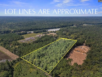 0 Mt Olivet Church Rd unit 617090, Chapin, SC 29036 - photo 2