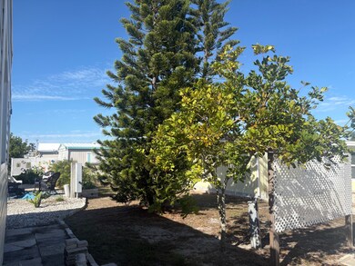 1100 Curlew Rd, Dunedin, FL 34698 - photo 7