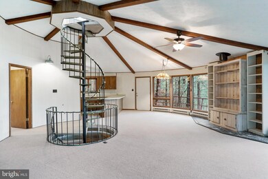 279 Connie Rd, Basye, VA 22810 - photo 7