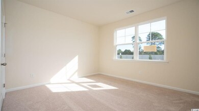 2828 Ophelia Way unit Lot 180 - Aria A, Myrtle Beach, SC 29577 - photo 4