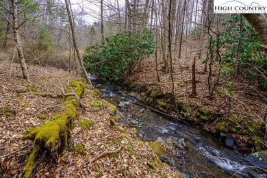 Stream runs the entire length of the property