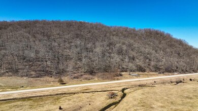 XX57 E Burns Valley Rd, Wilson Township, MN 55987 - photo 3