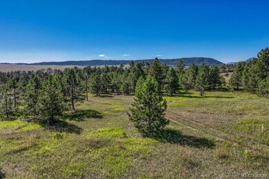 00 S Perry Park Rd, Larkspur, CO 80118 - photo 6