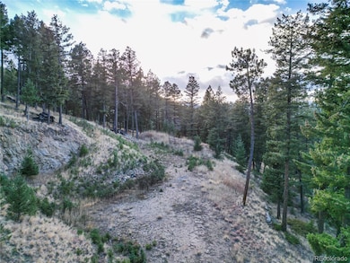 26779 Fern Gulch Rd, Evergreen, CO 80439 - photo 6