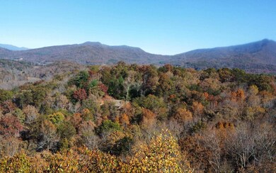 6 Morgan Ridge Ct, Young Harris, GA 30582 - photo 4