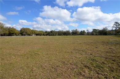 12076 Pasco Trails Blvd, Spring Hill, FL 34610 - photo 4