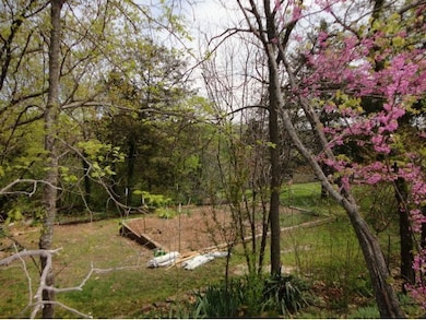 3 Maple Ln, Kimberling City, MO 65686 - photo 7