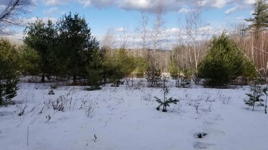 0 Hampshire St, Hiram, ME 04041 - photo 2