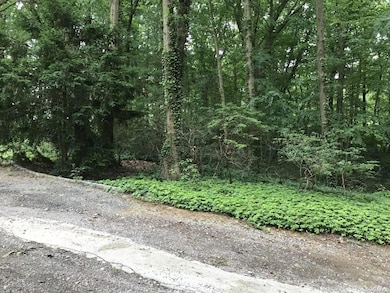 45 Laurel Ln, Locust Valley, NY 11560 - photo 3