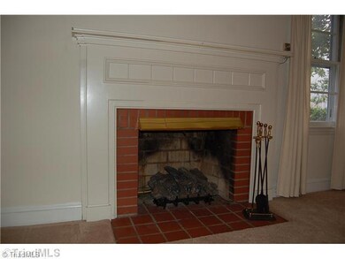 Other. Fireplace