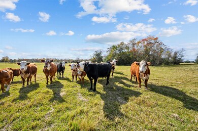 12330 Dannhaus Rd, Needville, TX 77461 - photo 4