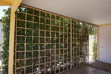 CARPORT TRELLIS