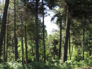 Nhn Lakeview Terrace, Bigfork, MT 59911 - photo 3