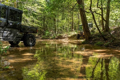 0 Fox Ln, Savannah, TN 38372 - photo 2