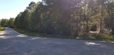 28040 Crossway Oaks, Magnolia, TX 77355 - photo 3