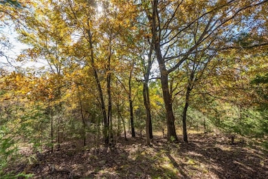 16898 Misty Wood Rd, West Fork, AR 72774 - photo 3