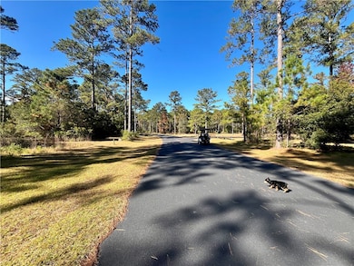 577 Lake Side Dr, Shellman Bluff, GA 31331 - photo 7