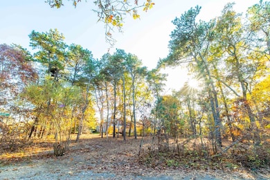 0 Shawanue Ave unit 32400336, Oak Bluffs, MA 02557 - photo 4