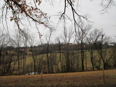 0 Calloway Rd unit 916783, Blaine, TN 37709 - photo 5