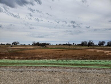 217 Lonicera Ln, Paradise, TX 76073 - photo 5