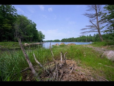 On W Bluebird Rd, Lake Tomahawk, WI 54539 - photo 2