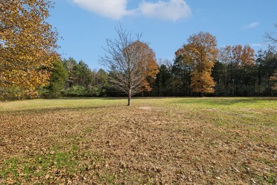 1560 River Rd, Chapel Hill, TN 37034 - photo 7