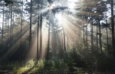 4220 Old Village Way, Auburn, AL 36830 - photo 2