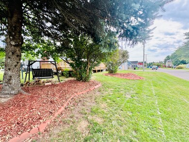 Large yard