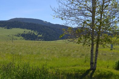 DSC_0501 (1)