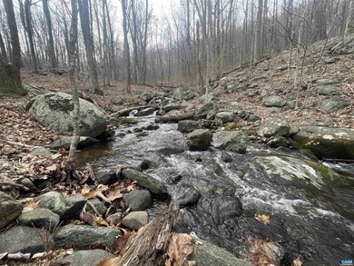 TBD Cub Creek Rd unit 1B, Massies Mill, VA 22967 - photo 3