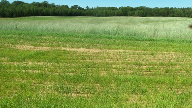 L0T 17 Red Maple Ln, Siren, WI 54872 - photo 5