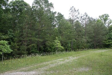 116 Lewis Ridge Rd, Burnside, KY 42519 - photo 4