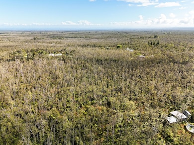 0 Uluhemalu Rd unit 25757387, Volcano, HI 96785 - photo 7