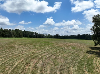 5072 Mobley Store Rd, McConnells, SC 29726 - photo 2