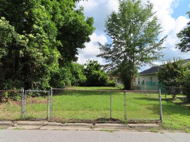 227 E Hammond St, Winterville, NC 28590 - photo 2