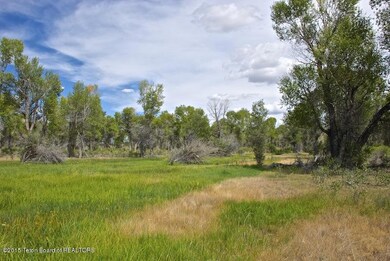 Paradise on New Fork