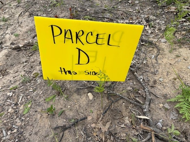 Parcel #D Town Line Rd, Lewiston, MI 49756 - photo 4