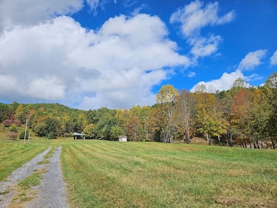 127 Anns Ln, Bastian, VA 24314 - photo 5