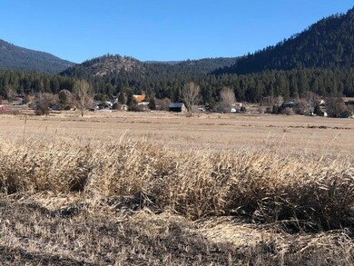 XXX 5th St E, Chewelah, WA 99109 - photo 4