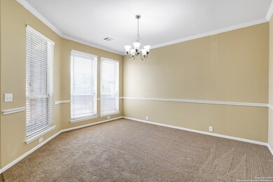 10631 Rainbow View, Helotes, TX 78023 - photo 5