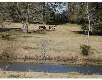 unk Debert Adams Rd, Lucedale, MS 39452 - photo 6