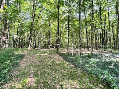 503 Centerville Rd, Pulaski, NY 13142 - photo 6