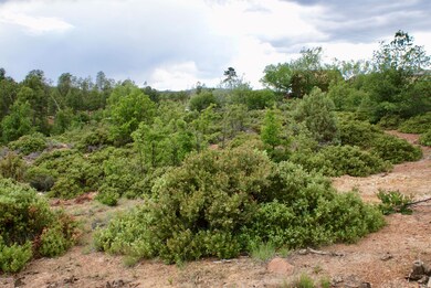 882 Geronimo Ln, Show Low, AZ 85901 - photo 4