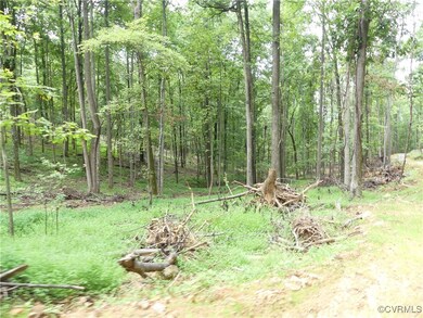 View of local wilderness