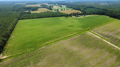 View of rural area with large plots for crops